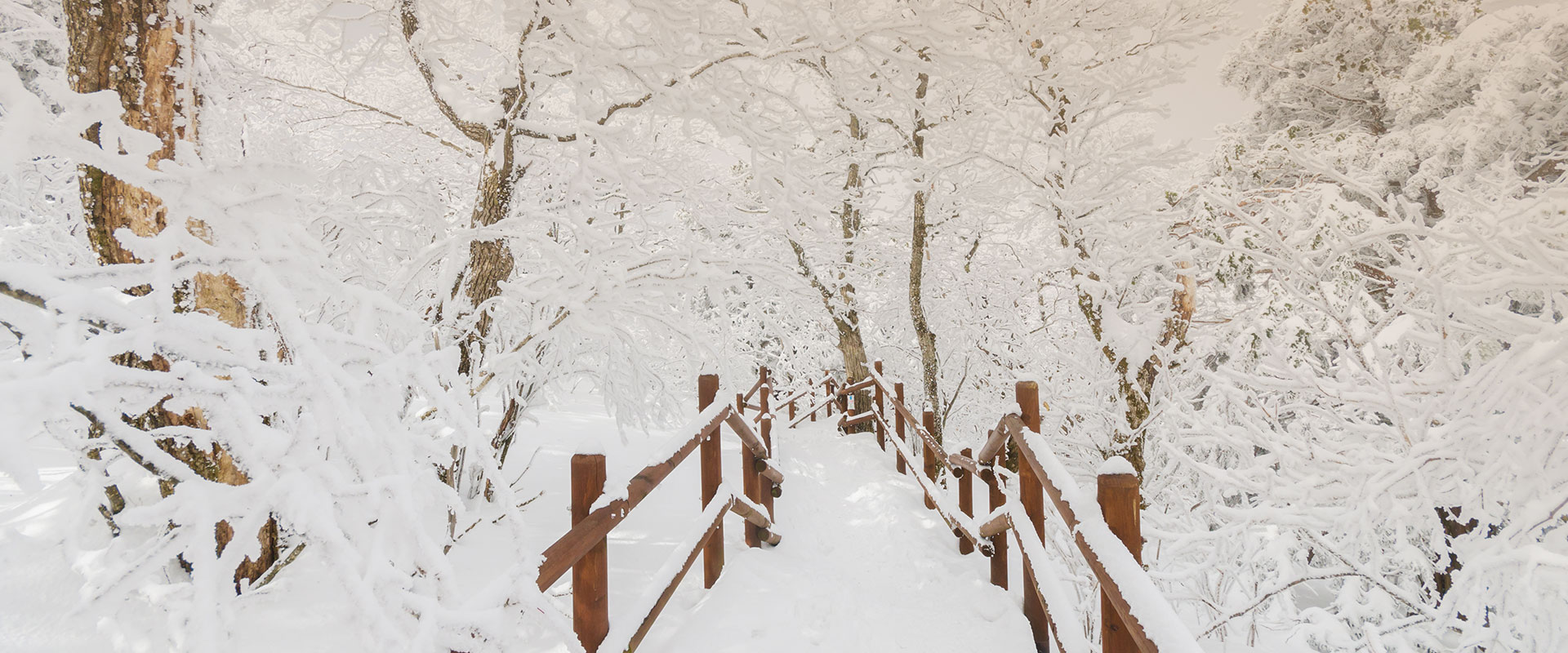 즐겁고 안전한 등산 한국등산트레킹지원센터