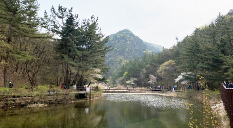 대전둘레산길